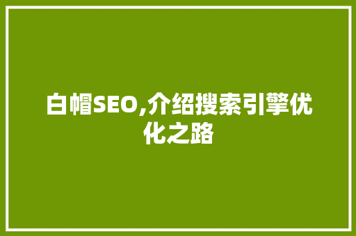 白帽SEO,介绍搜索引擎优化之路