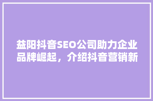 益阳抖音SEO公司助力企业品牌崛起，介绍抖音营销新趋势