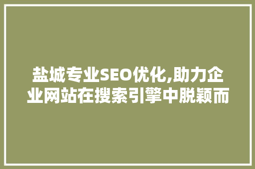 盐城专业SEO优化,助力企业网站在搜索引擎中脱颖而出