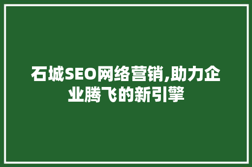 石城SEO网络营销,助力企业腾飞的新引擎