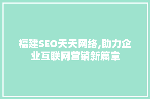 福建SEO天天网络,助力企业互联网营销新篇章