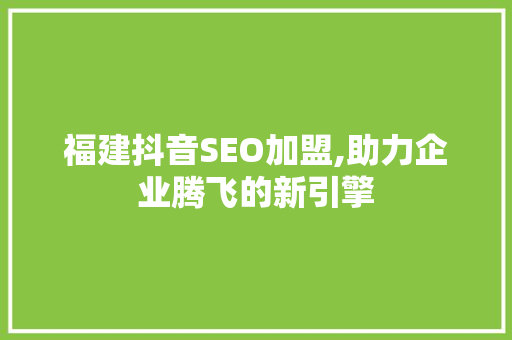 福建抖音SEO加盟,助力企业腾飞的新引擎