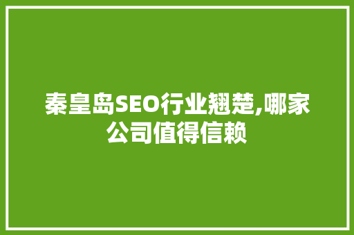 秦皇岛SEO行业翘楚,哪家公司值得信赖