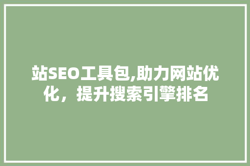 站SEO工具包,助力网站优化，提升搜索引擎排名