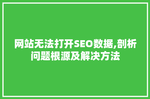 网站无法打开SEO数据,剖析问题根源及解决方法