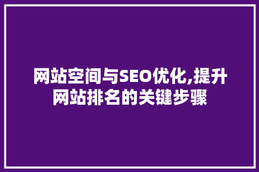网站空间与SEO优化,提升网站排名的关键步骤