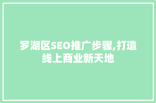 罗湖区SEO推广步骤,打造线上商业新天地