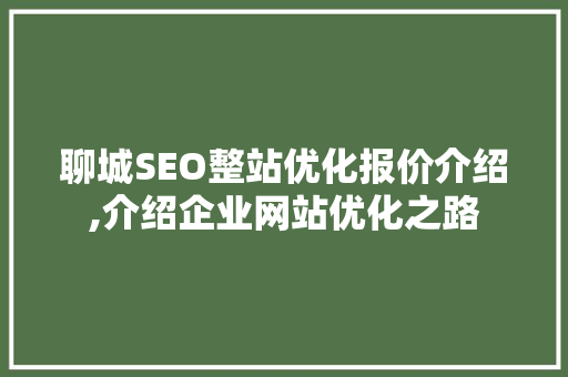 聊城SEO整站优化报价介绍,介绍企业网站优化之路