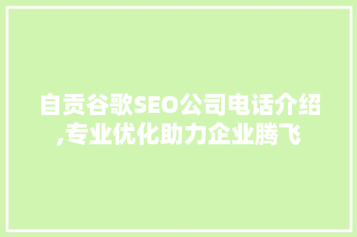 自贡谷歌SEO公司电话介绍,专业优化助力企业腾飞