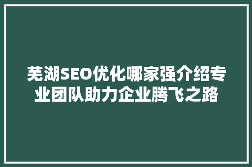 芜湖SEO优化哪家强介绍专业团队助力企业腾飞之路