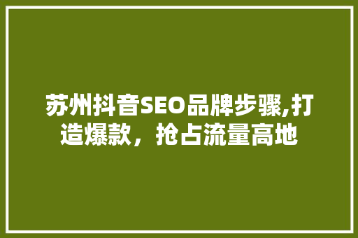 苏州抖音SEO品牌步骤,打造爆款，抢占流量高地