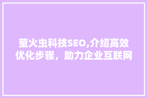 萤火虫科技SEO,介绍高效优化步骤，助力企业互联网时代腾飞