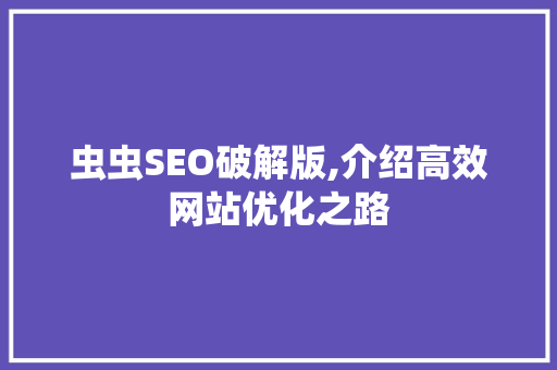 虫虫SEO破解版,介绍高效网站优化之路
