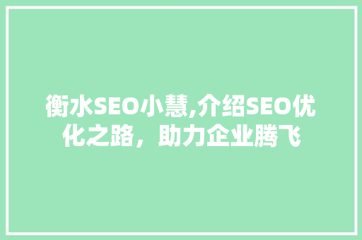衡水SEO小慧,介绍SEO优化之路，助力企业腾飞