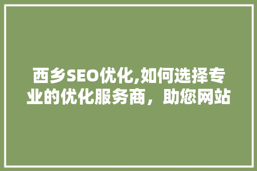 西乡SEO优化,如何选择专业的优化服务商，助您网站脱颖而出
