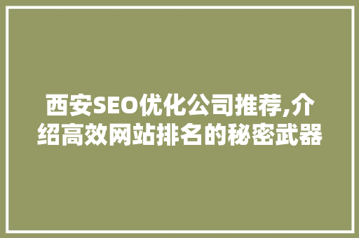 西安SEO优化公司推荐,介绍高效网站排名的秘密武器