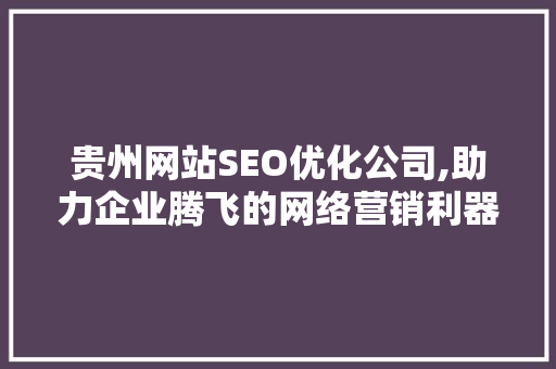 贵州网站SEO优化公司,助力企业腾飞的网络营销利器