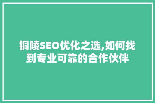 铜陵SEO优化之选,如何找到专业可靠的合作伙伴