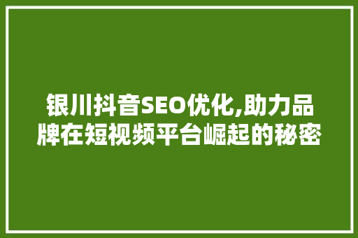 银川抖音SEO优化,助力品牌在短视频平台崛起的秘密武器