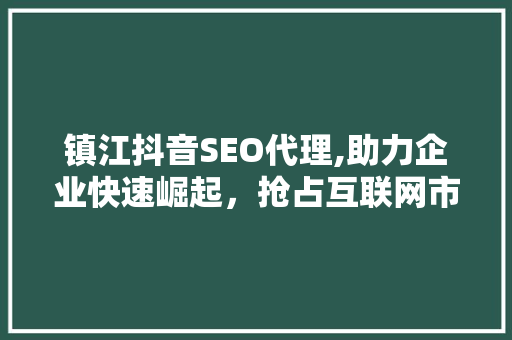 镇江抖音SEO代理,助力企业快速崛起，抢占互联网市场先机