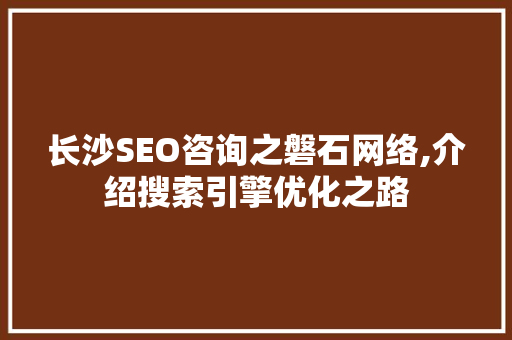 长沙SEO咨询之磐石网络,介绍搜索引擎优化之路
