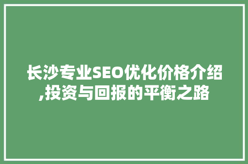 长沙专业SEO优化价格介绍,投资与回报的平衡之路