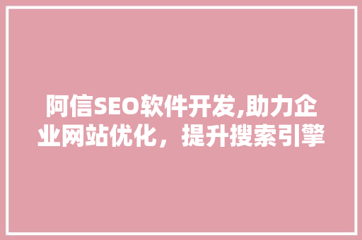 阿信SEO软件开发,助力企业网站优化，提升搜索引擎排名