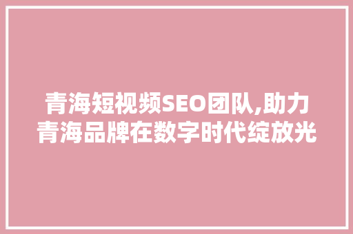 青海短视频SEO团队,助力青海品牌在数字时代绽放光彩