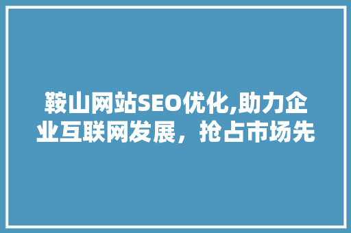鞍山网站SEO优化,助力企业互联网发展，抢占市场先机
