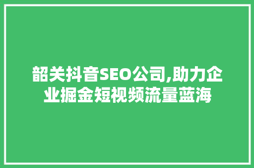 韶关抖音SEO公司,助力企业掘金短视频流量蓝海