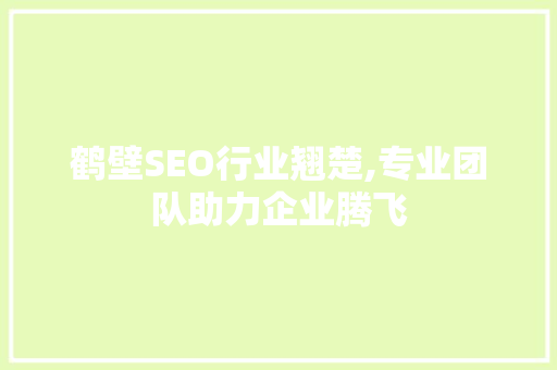 鹤壁SEO行业翘楚,专业团队助力企业腾飞