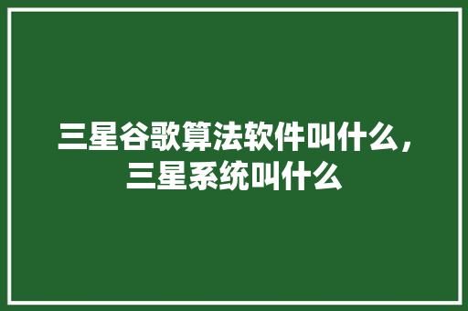 三星谷歌算法软件叫什么，三星系统叫什么