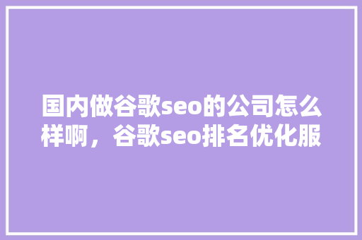 国内做谷歌seo的公司怎么样啊，谷歌seo排名优化服务
