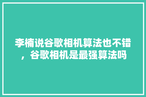 李楠说谷歌相机算法也不错，谷歌相机是最强算法吗
