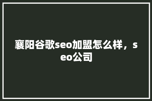 襄阳谷歌seo加盟怎么样，seo公司
