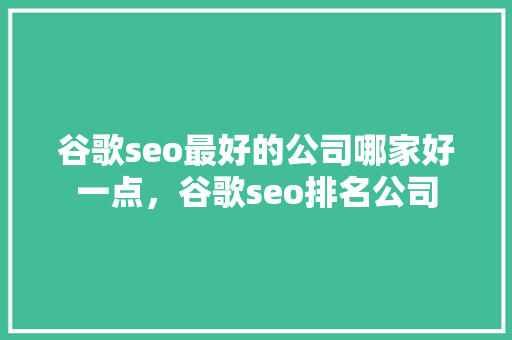 谷歌seo最好的公司哪家好一点，谷歌seo排名公司