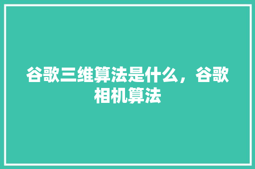 谷歌三维算法是什么，谷歌相机算法
