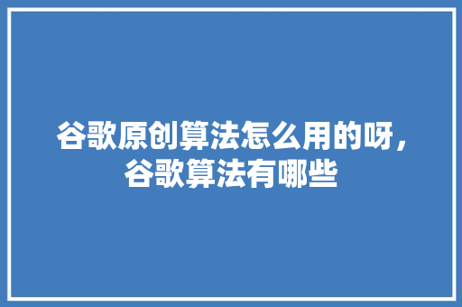 谷歌原创算法怎么用的呀，谷歌算法有哪些