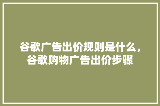 谷歌广告出价规则是什么，谷歌购物广告出价步骤