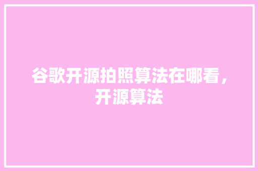 谷歌开源拍照算法在哪看，开源算法