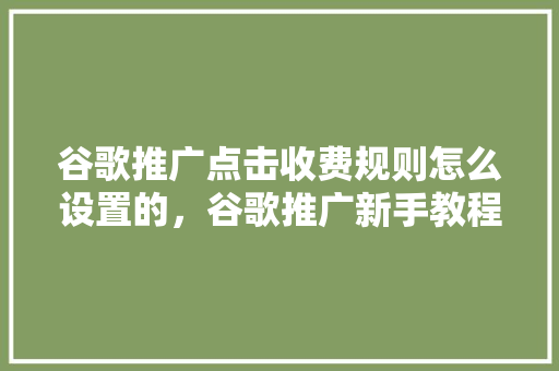 谷歌推广点击收费规则怎么设置的，谷歌推广新手教程