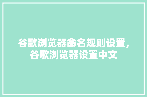 谷歌浏览器命名规则设置，谷歌浏览器设置中文