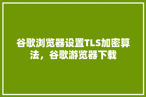 谷歌浏览器设置TLS加密算法，谷歌游览器下载