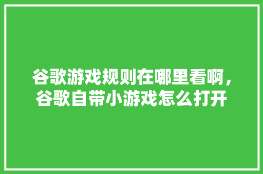 谷歌游戏规则在哪里看啊，谷歌自带小游戏怎么打开