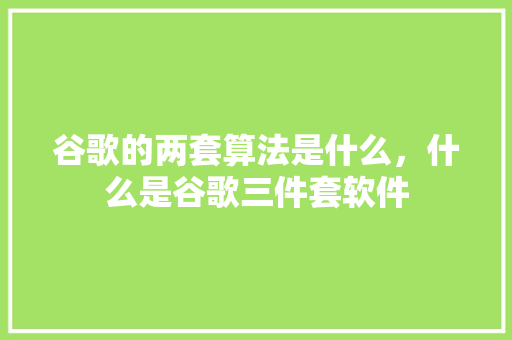 谷歌的两套算法是什么，什么是谷歌三件套软件