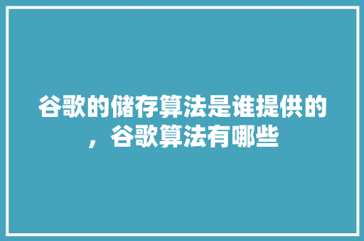 谷歌的储存算法是谁提供的，谷歌算法有哪些