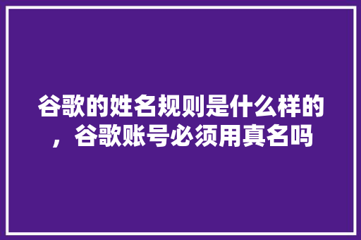 谷歌的姓名规则是什么样的，谷歌账号必须用真名吗