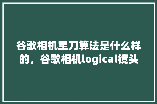 谷歌相机军刀算法是什么样的，谷歌相机logical镜头