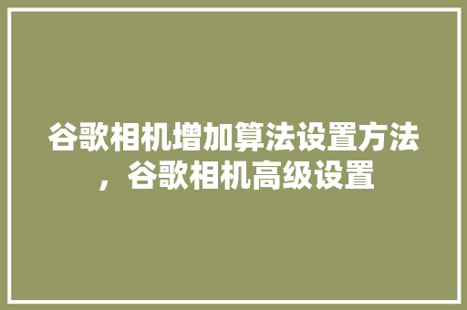 谷歌相机增加算法设置方法，谷歌相机高级设置