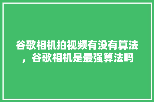 谷歌相机拍视频有没有算法，谷歌相机是最强算法吗